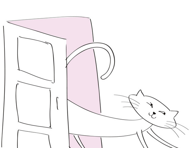 白色小猫门动物素材
