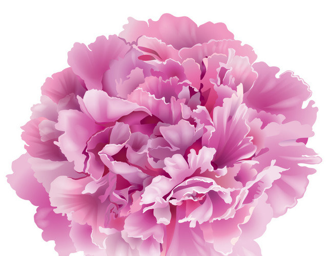 粉色花朵花瓣植物素材