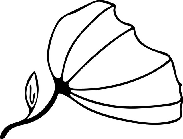 简笔画植物叶子黑墨素材