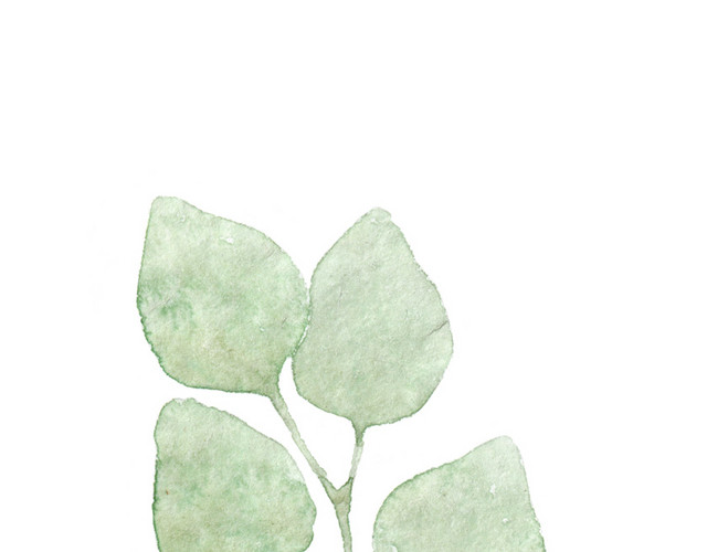 墨绿叶子材植物素材