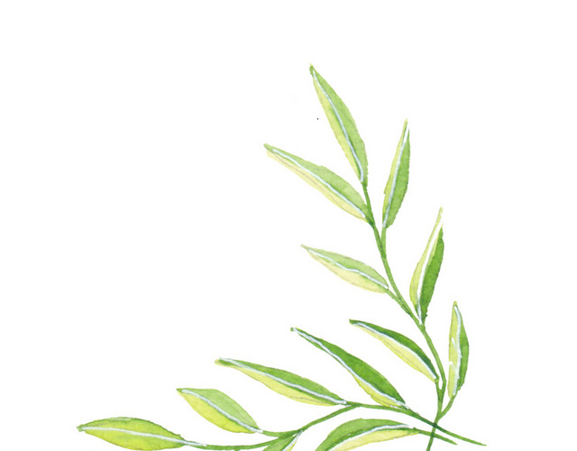 绿色树条植物素材