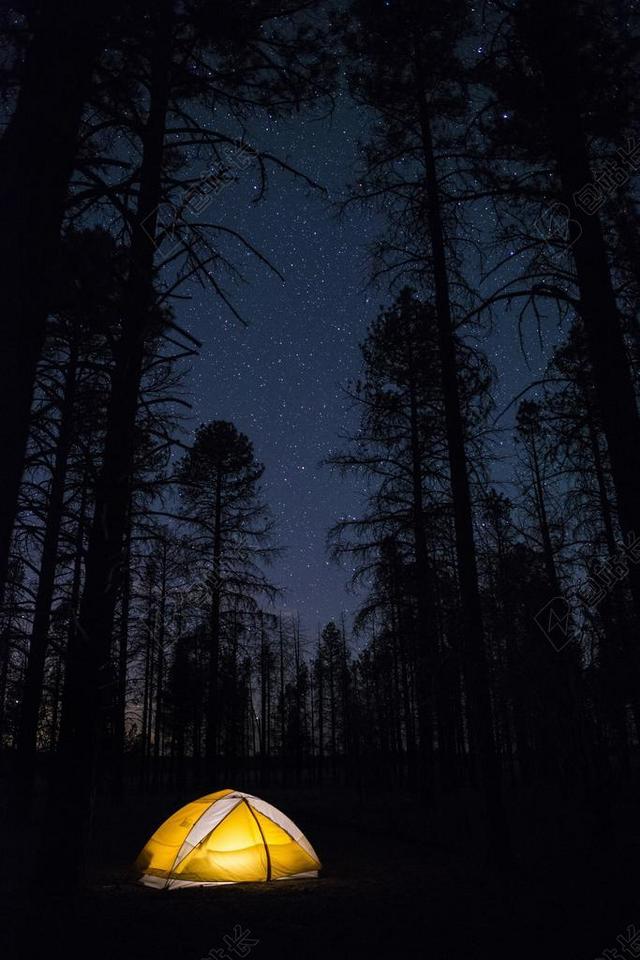 露营 夜 帐篷 娱乐 生活方式 乐趣 森林 星星 银河