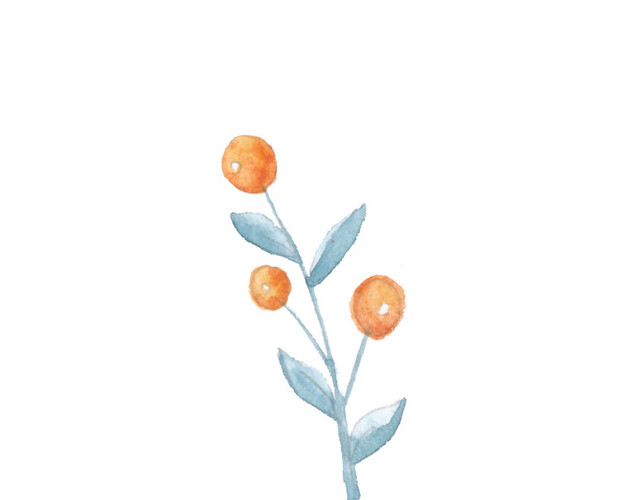 黄色果实叶子树条植物素材