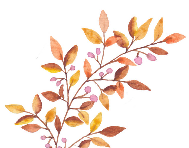 粉色花苞黄色叶子枝条素材