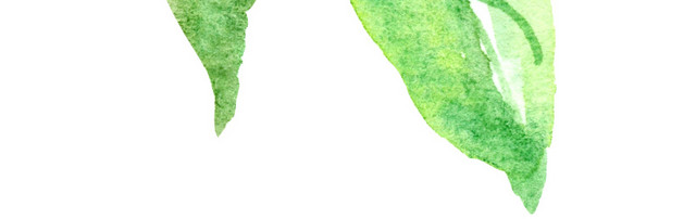 绿色墨色枝条植物素材