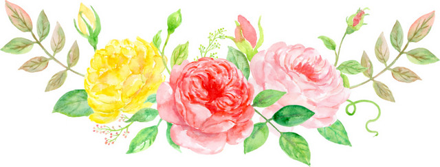花朵花瓣彩色装饰花素材