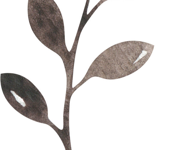 棕色树叶植物叶子素材