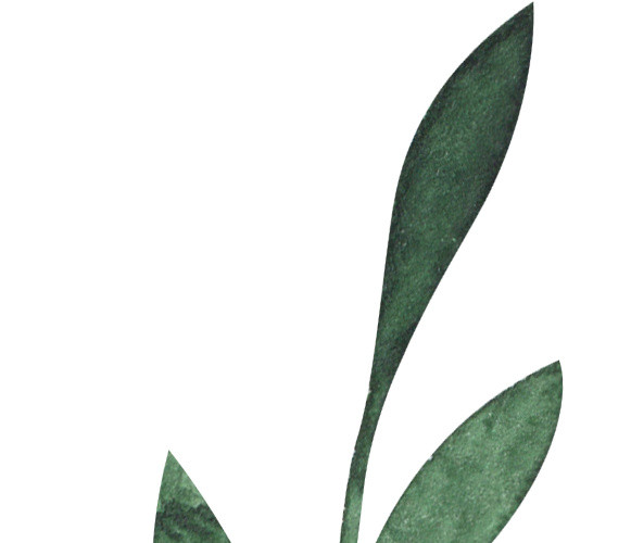 绿叶枝条绿叶植物素材