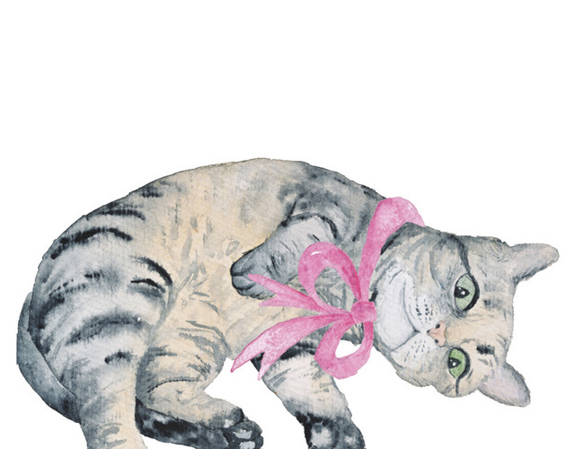 花斑羽毛动物小猫素材