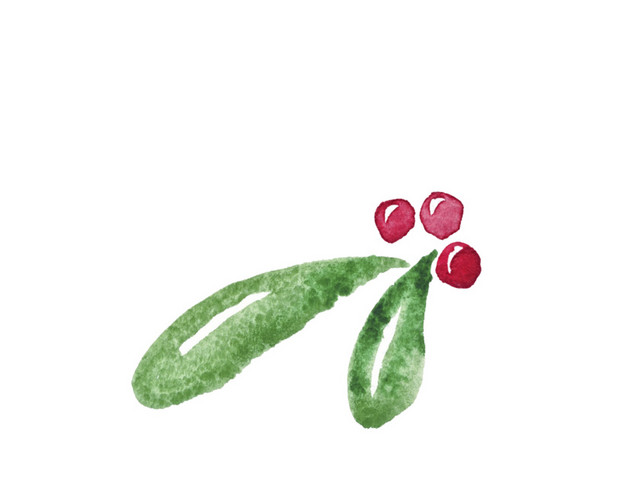 红色果子绿色叶子植物素材
