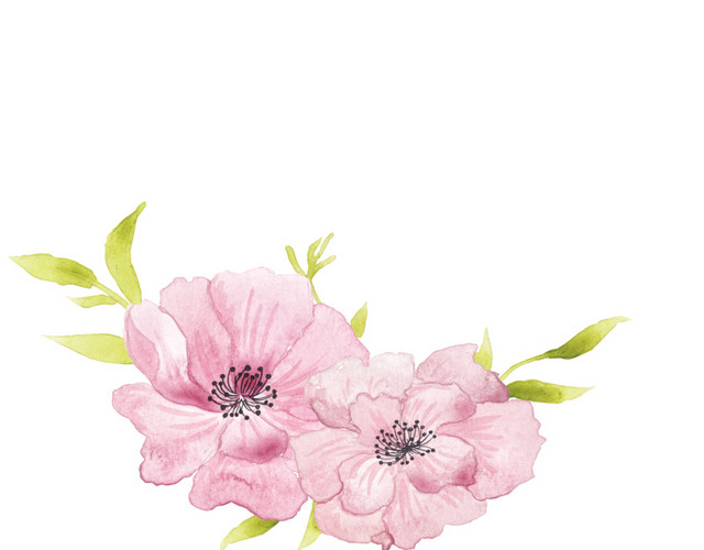 粉色花瓣花蕊绿色叶子装饰花素材