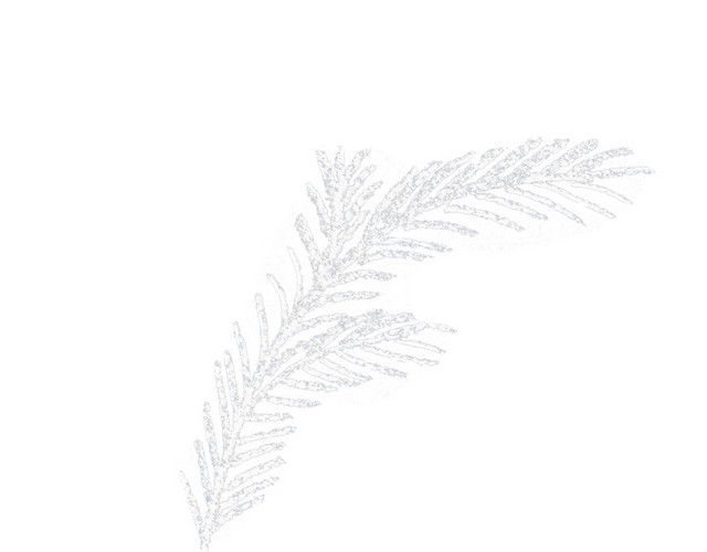 植物树叶枝条简笔画素材