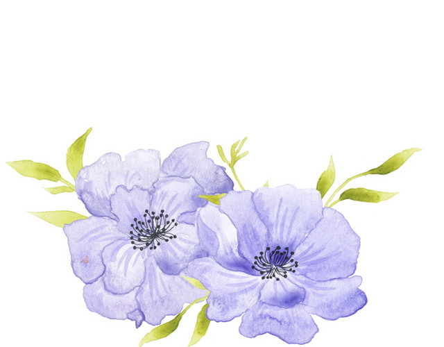 蓝色花瓣花蕊绿色植物素材