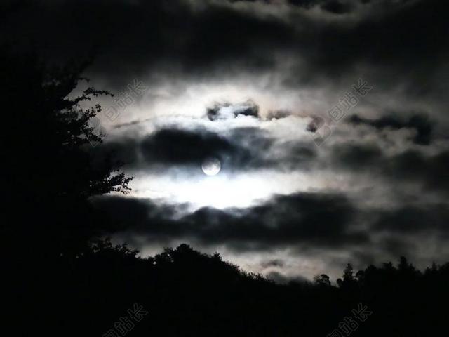 夜 满月 黑 恐惧 很奇怪 冒险 令人毛骨悚然