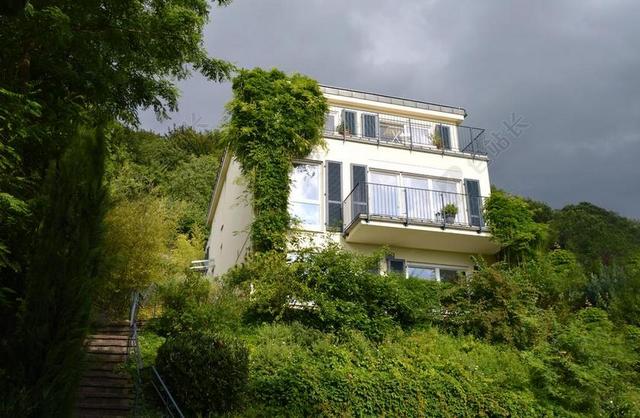 房子在绿 雷暴 心情 我住在绿色 落俗套 森林 树木 性质