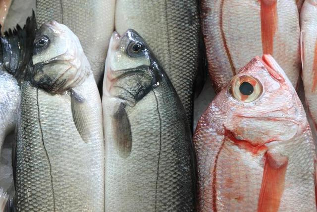 葡萄牙 里斯本 鱼 市场 海鲜 新鲜 食品
