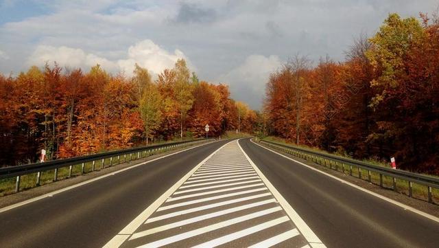 交通风景枫树林中的公路背景图片