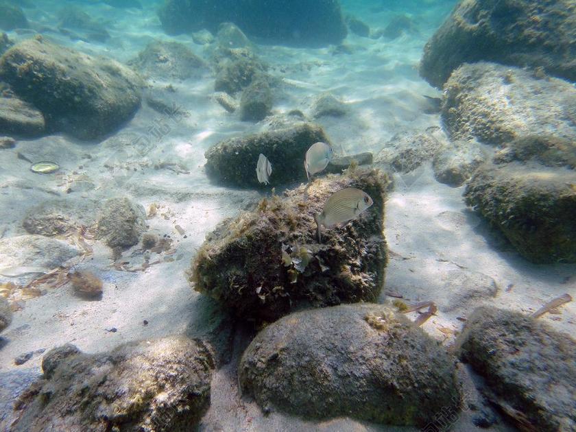 摄影清新水池里的石头背景图片