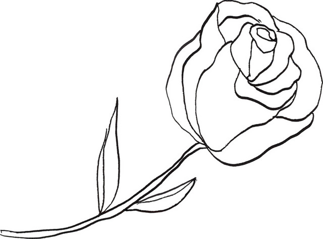 黑色素描绽放花朵矢量图片