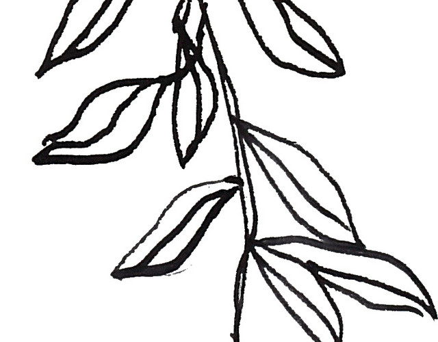黑色素描手绘叶子矢量图片
