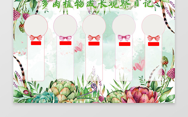 多肉植物成长观察日记小报WORD电子小抄报边框花边