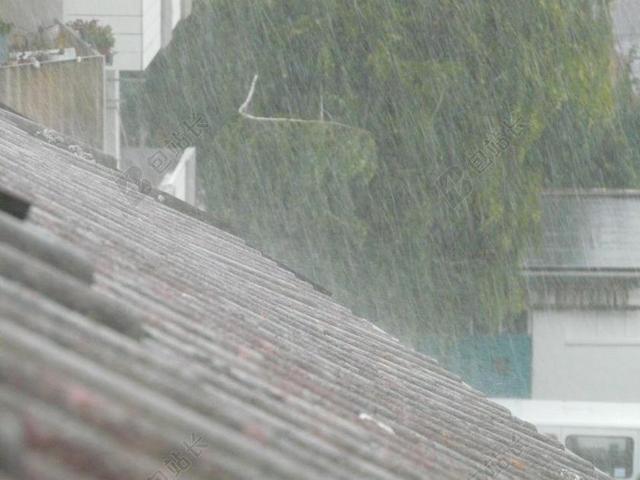瓢泼大雨 屋顶 颤抖 暴雨 雨 湿 水 雨滴 坏水 麻花