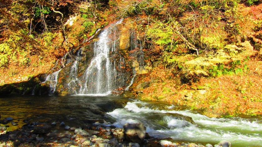 旅游清新秋季户外景色背景图片