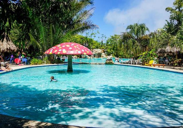 伯利兹 BACAB 丛林公园 池 热带 人 水 夏天 假期