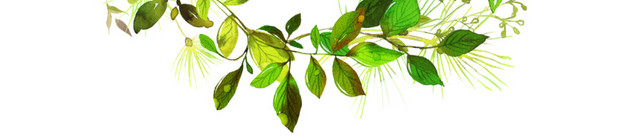 彩色水彩手绘叶子花环矢量素材
