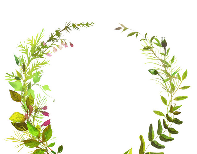 彩色水彩手绘叶子花环矢量素材