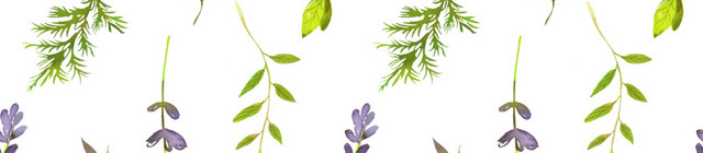 彩色水彩手绘花纹矢量素材