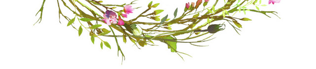 彩色水彩手绘叶子花环矢量素材