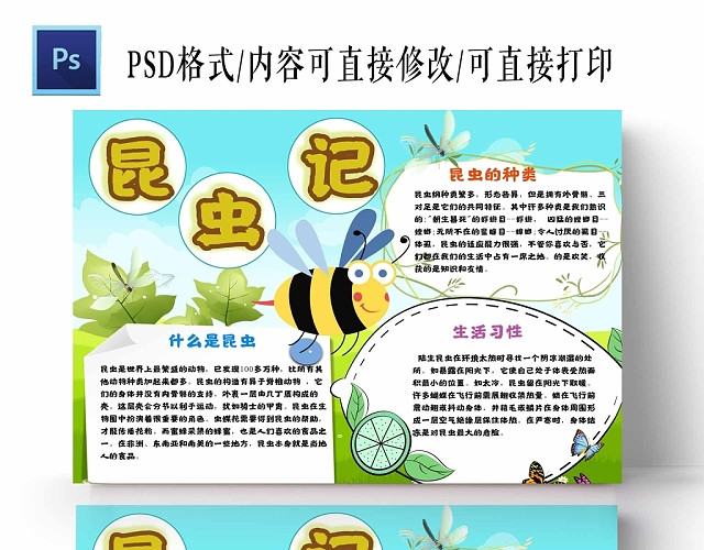 卡通浅蓝色背景昆虫记手抄报