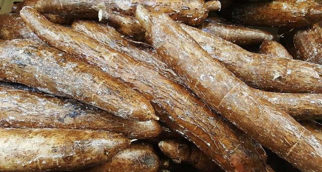 YUCA 木薯 蔬菜 食品 杂货 巴西葛粉 热带 碳水化合物
