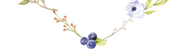 叶子花朵边框花环