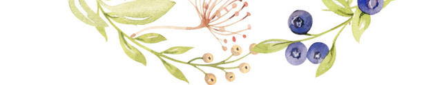叶子花朵边框花环
