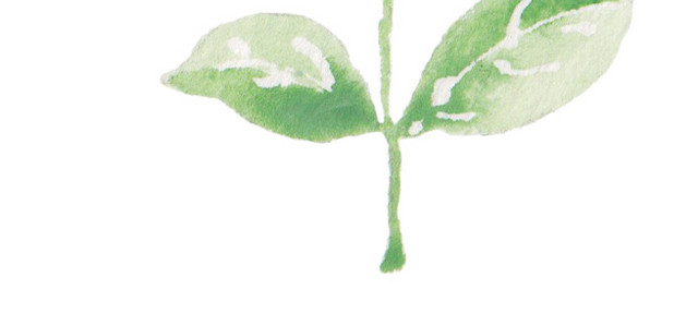 水彩叶子植物