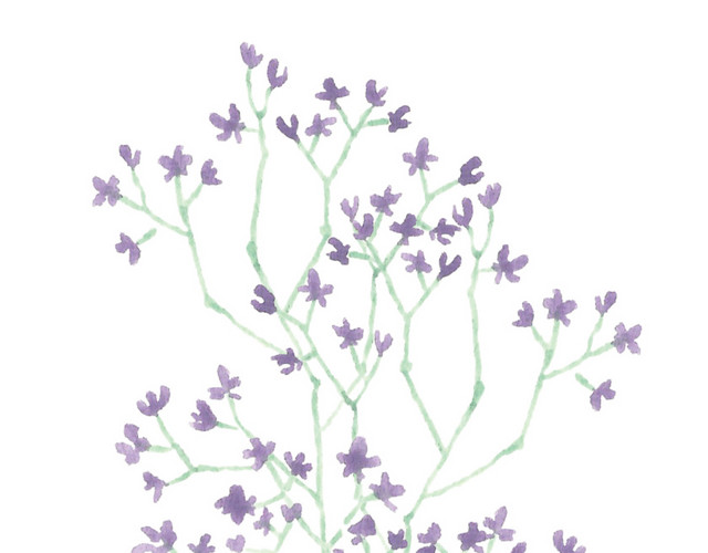水彩花卉花朵素材
