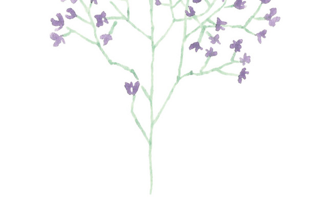 水彩花卉花朵素材