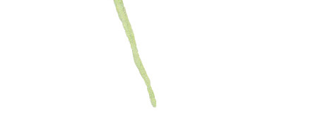 花卉花朵植物素材
