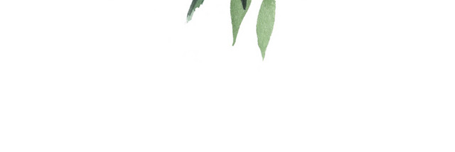 水彩花卉花朵植物素材