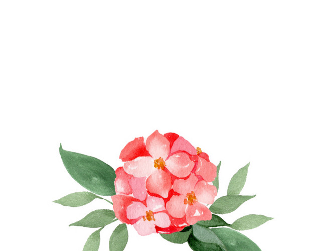 水彩花卉花朵素材