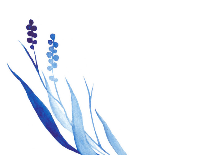 蓝色水彩花植物素材
