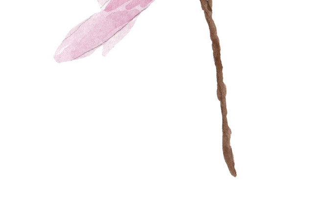 水彩花卉花朵素材
