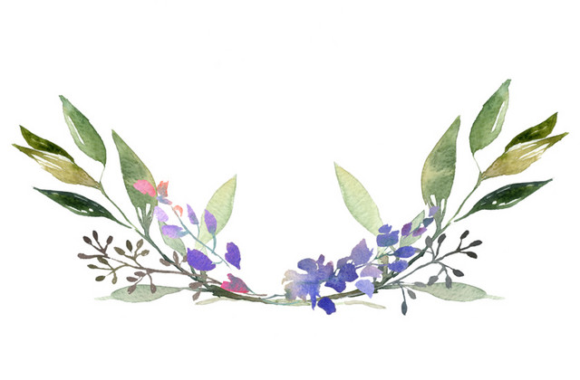 叶子花朵边框装饰