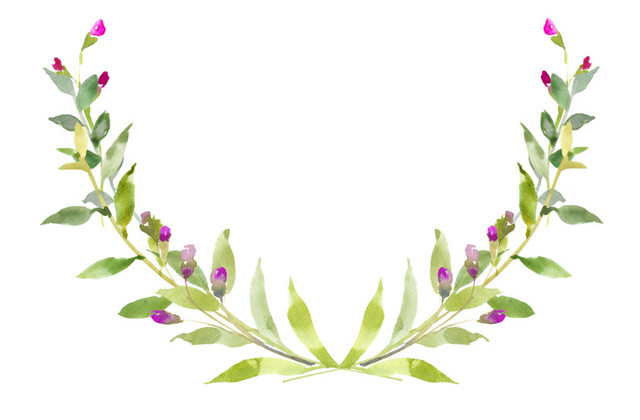 叶子花朵边框装饰