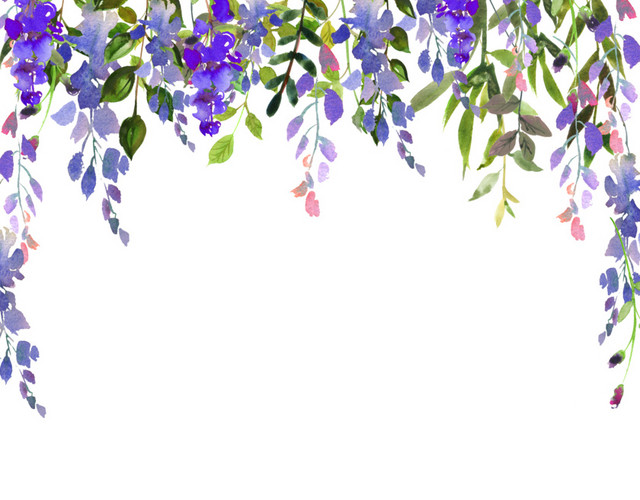 水彩植物树叶绘画素材