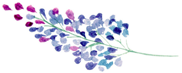 水彩植物花纹装饰绘画素材