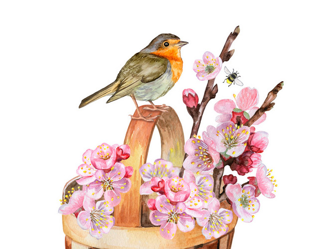 水彩植物鸟类花纹装饰绘画素材