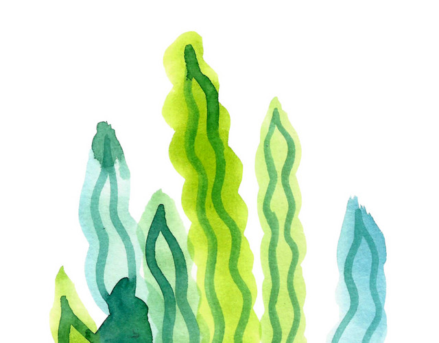 水彩植物花纹装饰绘画素材